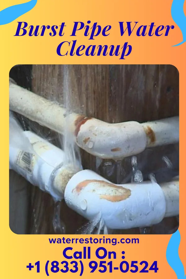 Burst Pipe Water Cleanup in Amazonia, MO