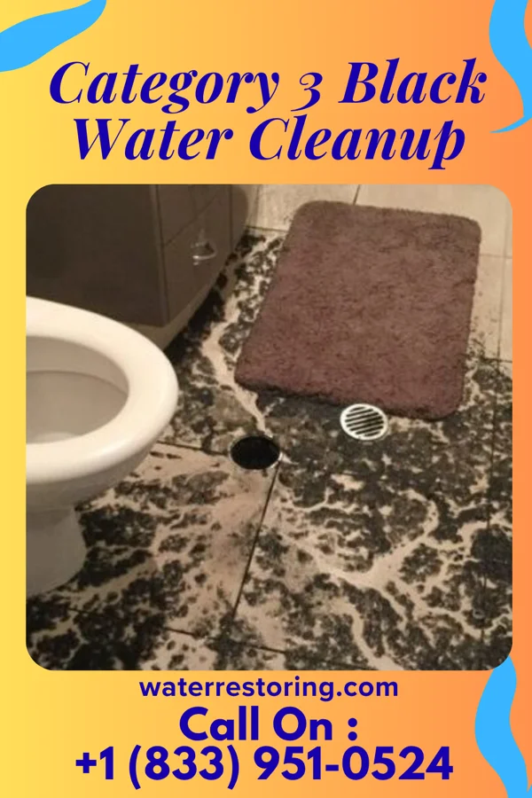 Category 3 Black Water Cleanup in Amazonia, MO