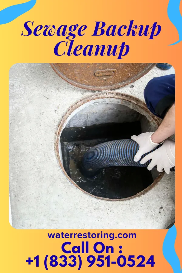 Sewage Backup Cleanup in Amazonia, MO