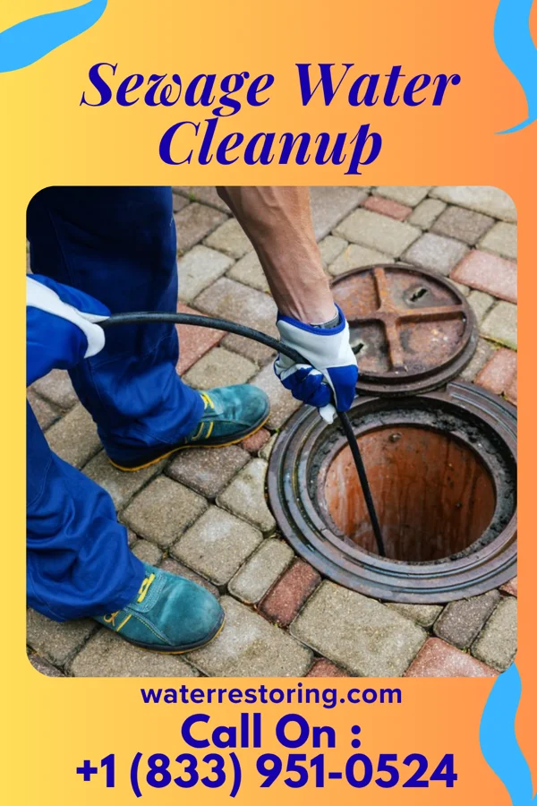 Sewage Water Cleanup in Amazonia, MO
