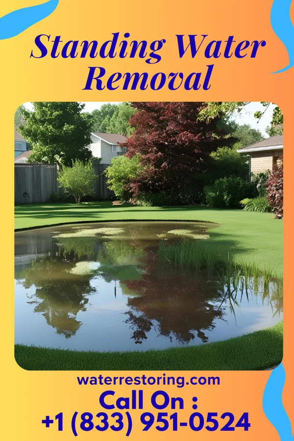 Standing Water Removal in Amazonia, MO